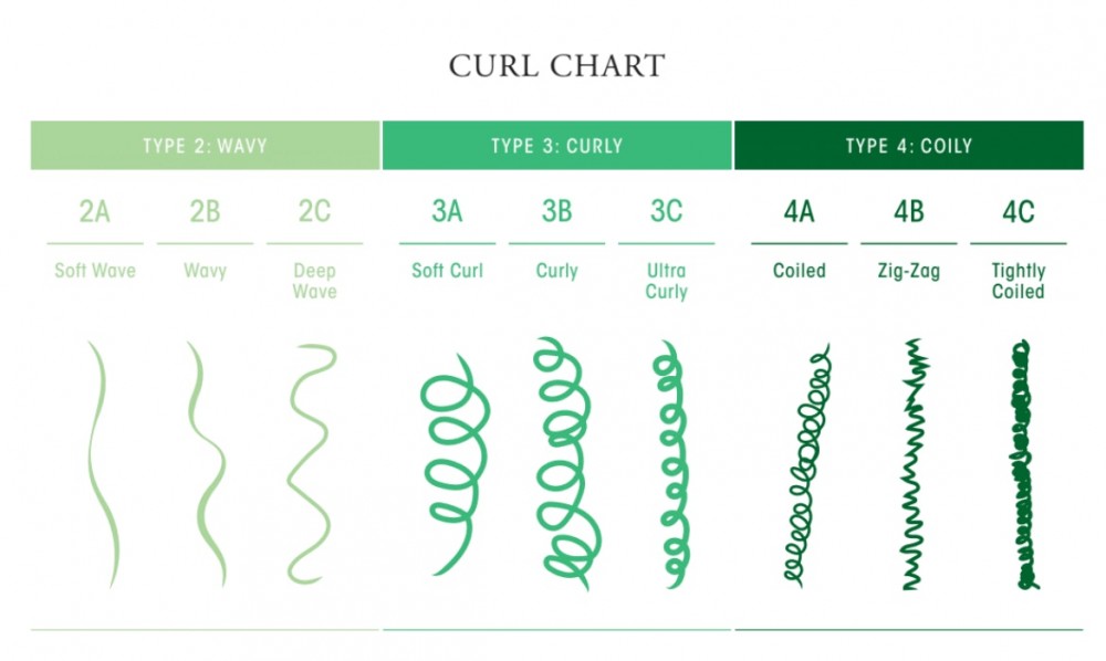 Curl ответ