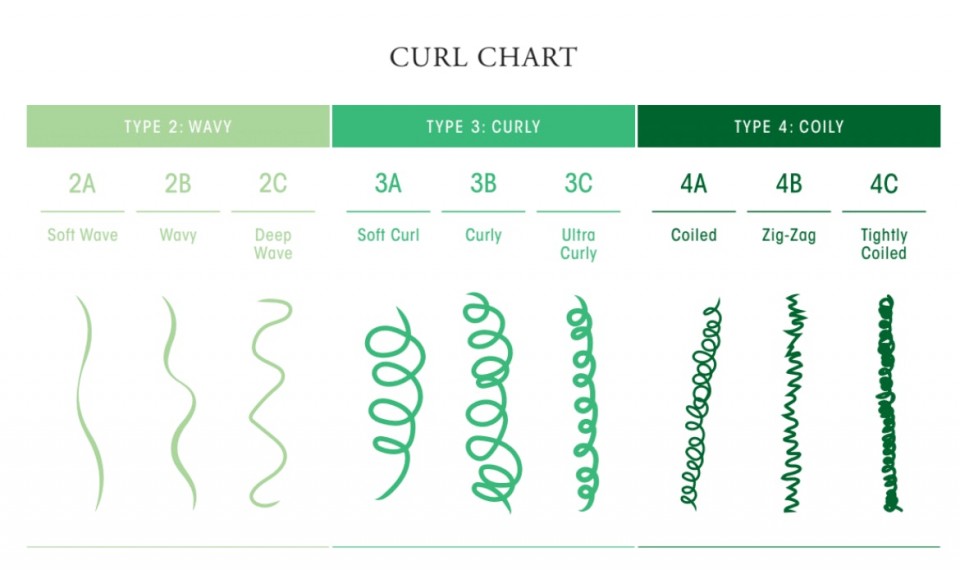 Rip Curl Top Size Chart