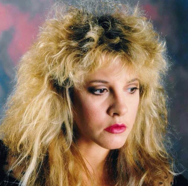 STEVIE NICKS HAIR LEXICON – colleen